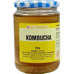 Kombucha Teepilz 1 ST