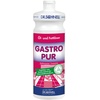Gastro Pur Öl- und Fettlöser 1 l