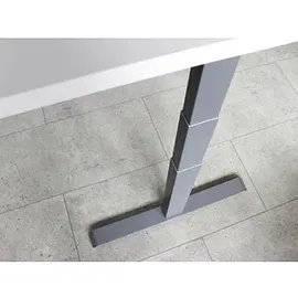 baselite Schreibtisch Asteiche / Grau