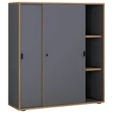 VCM Salia Schiebetürenschrank 100 x 37,4 x 110 anthrazit