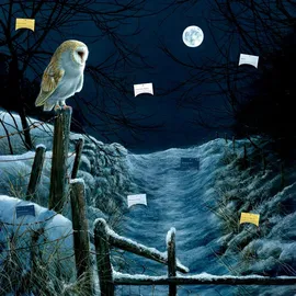 Coppenrath Verlag Zettelkalender Magie und Mythos der Winter-Weihnacht 2023