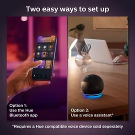 Philips Hue White & Color Ambiance E27 1100 lm