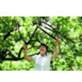 Fiskars Astschere PowerGear II L77