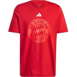 adidas FC Bayern München DNA Graphic T-Shirt Team Power Red 2 M
