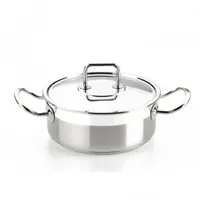 Bra Profesional Stieltopf 16 cm