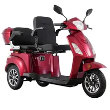 ECONELO E-Seniorenmobil Billy 2.0 3-Rad 1000 Watt Rot/Grau