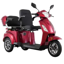 ECONELO E-Seniorenmobil Billy 2.0 3-Rad 1000 Watt Rot/Grau