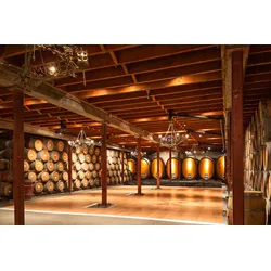 Fototapete PAPERMOON "Napa Valley Wein", bunt (mehrfarbig), B:3,5m L:2,6m, Vlies, Tapeten