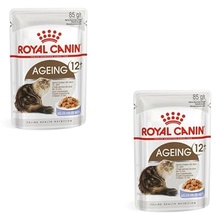 Royal Canin Ageing +12 in Gelee 24 x 85 g