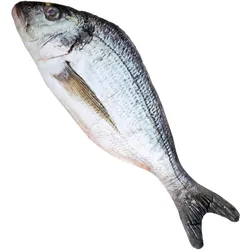 Fisch am Haken Kostümaccessoire
