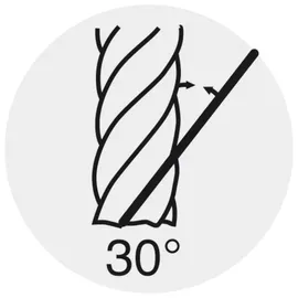 FORUM SL-Schaftfräser wn extralang Ø d1 h10: 4 mm TiAlN z 2