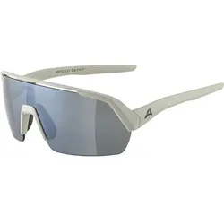 ALPINA Herren Brille TURBO HR, cool-grey matt, ONE SIZE