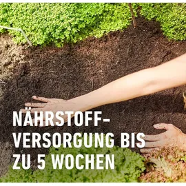 Compo Bio Tomaten- und Gemüseerde torffrei 20 l