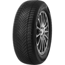 MINERVA Frostrack HP 195/55 R16 91V XL