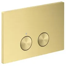 Hansgrohe AXOR FlushPlate Drückerplatte