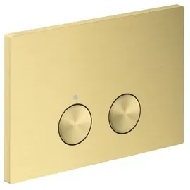 Hansgrohe AXOR FlushPlate Drückerplatte