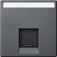 Merten Zentralplatte 1fach MEG4573-0414