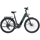 Kalkhoff Endeavour 5.B Advance+ LTD 625 Wh Damen grün 2025, 29" - 58 cm