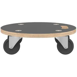 vidaXL Transportroller 250 kg