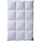 Daunendecke 3x4 Kassetten - 155x220 100% Daunen - Weiß