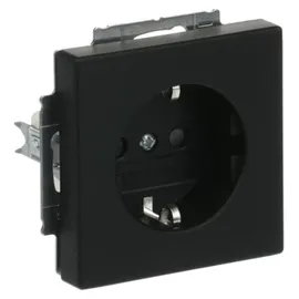 Busch-Jaeger Steckdoseneinsatz 1 Schwarz 1 St.