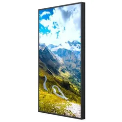 Hisense 65WF25E High Brightness Display 65 Zoll (165,1cm)