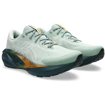 Asics Novablast 5 TR Herren Laufschuhe - 47