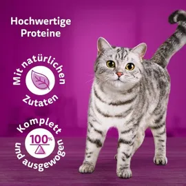 Whiskas 1+ Geflügel Ragout in Gelee 40 x 85g