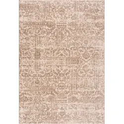 Teppich »Dilani«, rechteckig, Vintage, dezenter Glanz, Hoch-Tief-Struktur, Schrumpf Carving-Effekt, 17944021-2 natur 12 mm