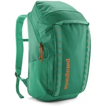 Patagonia Black Hole 32 Rucksack petrol