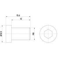 Textar Schraube, Bremsscheibe TPM0009