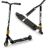 Apollo Star Pro schwarz/gold
