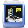 Autoshampoo 5l (6.295-360.0)