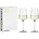 Weißweinglas 4 2 St