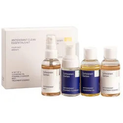 Antioxidant Clean Essentials Kit 4 St Unisex