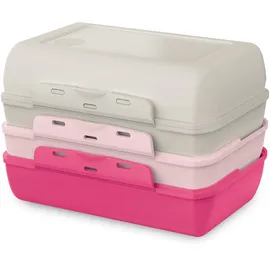 Emsa Variabolo Brotdosen-Set Grau/Pink 4-tlg.