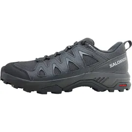 Salomon X Braze Gore-Tex Black / Black / Phantom 42