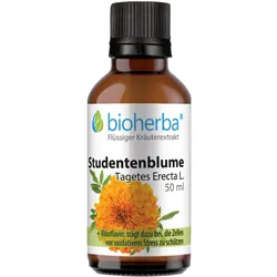 Studentenblume ?agetes Erecta L. Tropfen Tinktur 50 ml