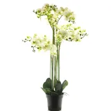 Kunstorchidee Kunstblume Phalaenopsis Orchidee CHENXU, weiß, 110 cm Orchidee (Orchidee phalaenopsis), artplants weiß