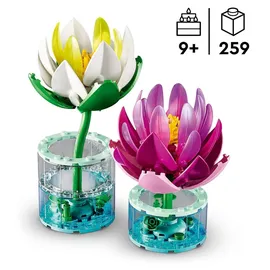 LEGO Botanicals Seerosen 11511