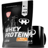 1kg Mammut Whey Protein Eiweißshake - Set inkl. Protein Shaker, Riegel, Powderbank oder Tasse (Mango Passion Fruit, Mammut Keramik Tasse)