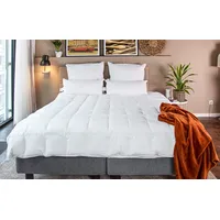 BEFA NATUR Made in Germany Tencel Daunendecke 200x220 cm aus 90% Daunen und 10% Federn, Sommerdecke, Allergiker geeignet (Nomite), EN Standard 12934, Öko-Tex 100 Klasse 1, Downpass