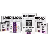 Ilford 1x 10 MG RC DL 25M 24x30 (190 g/m2, 24 x 30 cm, 10 x), Fotopapier, Schwarz