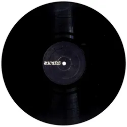 Serato Control Vinyl - Performance-Serie - Schwarz - 2er Set - Control Vinyl