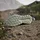 adidas Terrex Trailmaker 2 Gore-Tex Speed Lace Wanderschuh - Grey Six / Multisportschuhe Gr 49 1/3