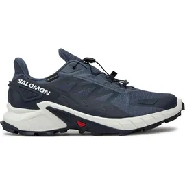 Salomon Supercross 4 GTX Herren Grisaille/White/Carbon 46 2/3