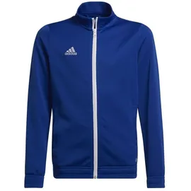 adidas Entrada 22 Trainingsjacke Kinder Team Royal Blue 116