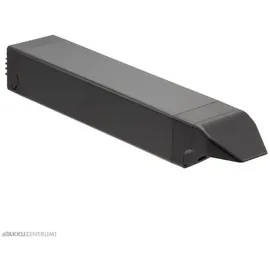 Joycube (Phylion) Akku Joycube DT-12 11,6Ah 36V