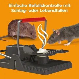 Protect Home Ratten & Mäuse Kontroll-Gel Duo 20 g