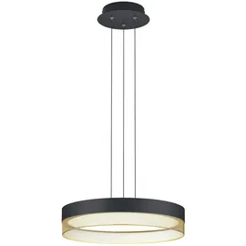 Hell Mesh, Pendelleuchte LED, 20517/1-06,